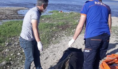 Van Gölü kıyısında erkek cesedi bulundu